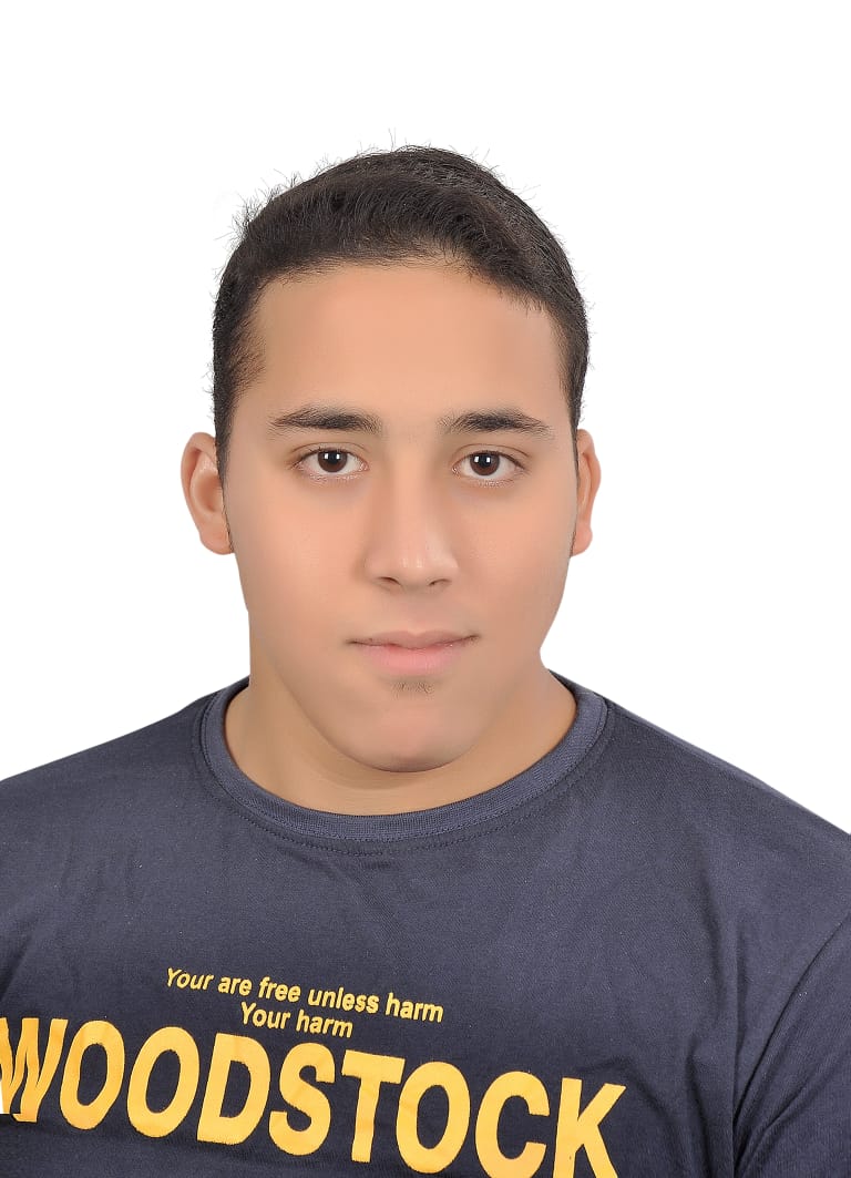 ابراهيم سلامه امين ابراهيم